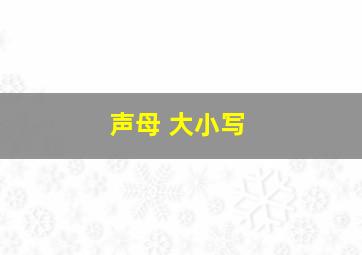 声母 大小写